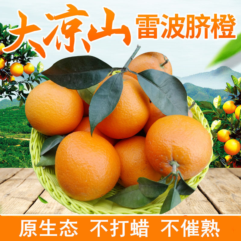 四川大凉山雷波脐橙橙子新鲜10斤大果当季水果整箱甜脐橙手剥包邮