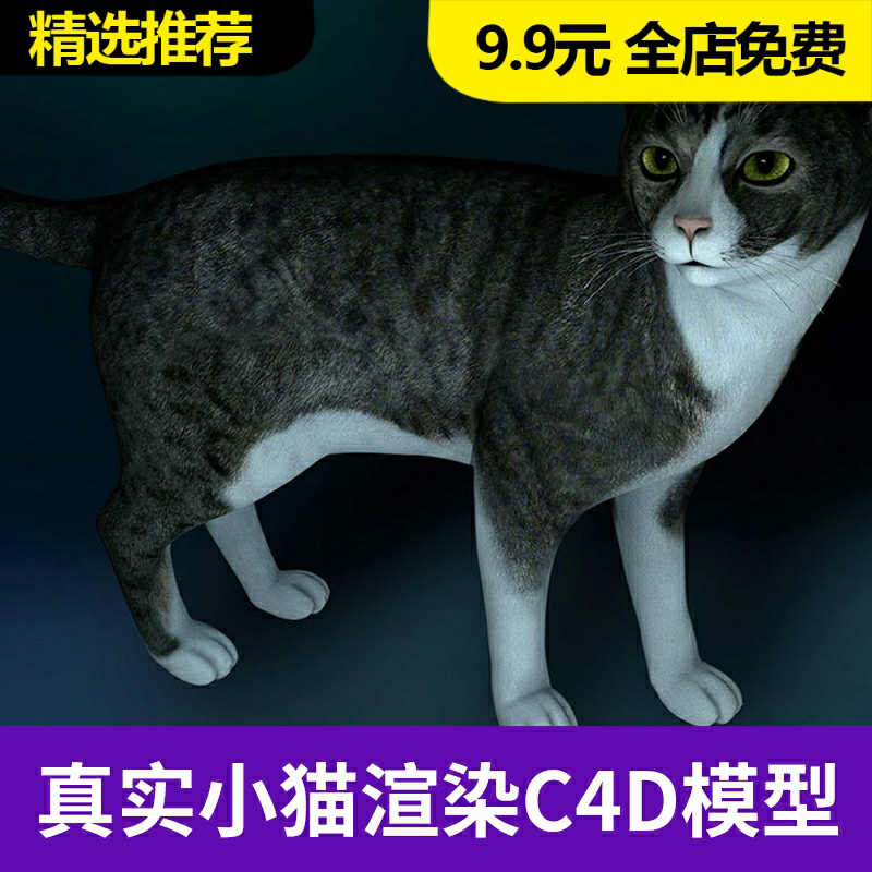 超ポイント祭 期間限定 ペティオ 猫小町 にゃんモック 小花 Ie Monogatari Jp