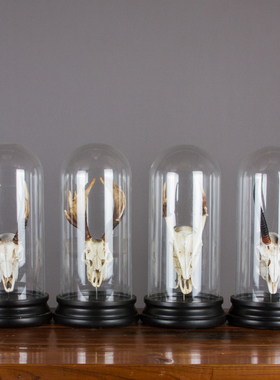 树脂动物鹿头复古教学道具装饰品