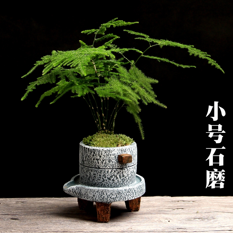 小石磨创意水泥花盆文竹绿植盆栽小花盆室内复古多肉植物花盆大号 - 图1