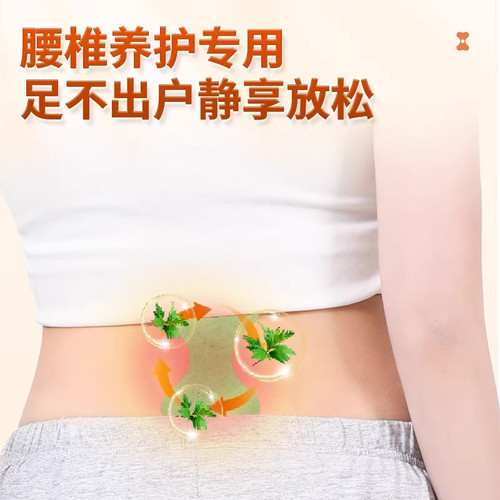 百年扁氏艾草腰椎贴肩周颈椎贴关节艾间灸盘膝盖热敷疼官方痛旗舰 - 图2