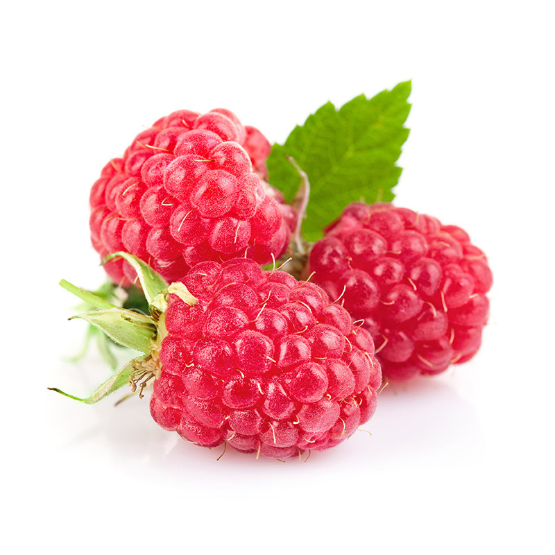 虹越树莓苗盆栽树苗南北方种植多年生阳台果树金秋,淘宝优惠券,粉丝福利购,淘宝优惠卷