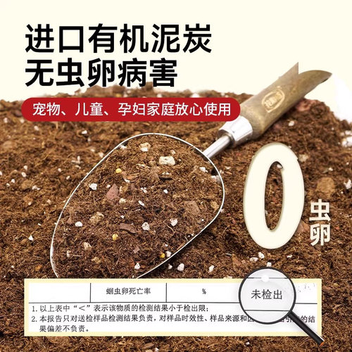 虹越花彩师营养土养花通用专用多肉花土泥炭土月季兰花土壤种植土 - 图1