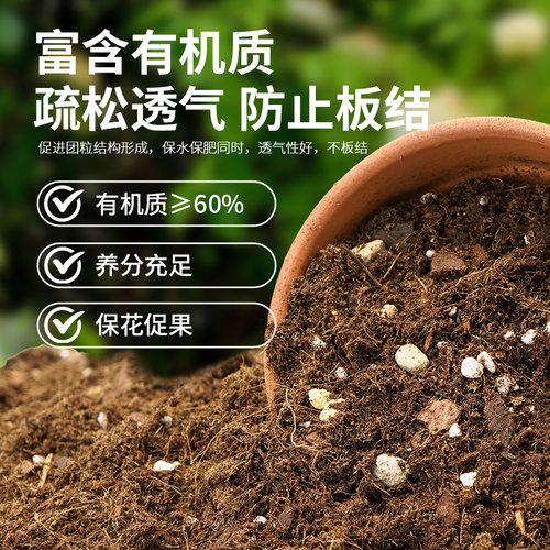虹越花彩师营养土养花通用专用多肉花土泥炭土月季兰花土壤种植土 - 图0