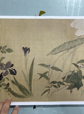 清 恽寿平 百花图卷大都会博物馆藏没骨画法花卉工笔临摹学习画稿