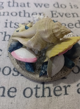 老货贝壳瓶盖摆件装饰