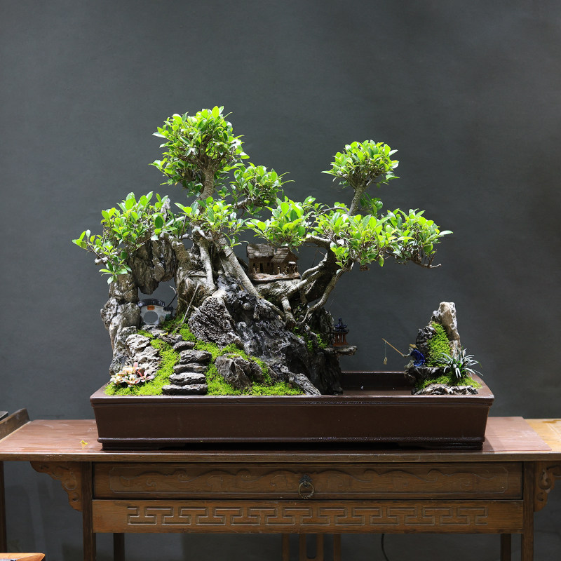 大型老桩榕树造型盆景树桩植物室内假山流水摆件风水庭院绿植盆栽,淘宝优惠券,粉丝福利购,淘宝优惠卷