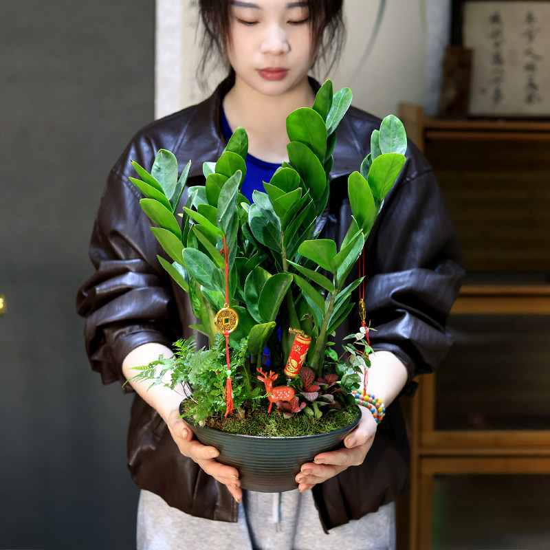 图5