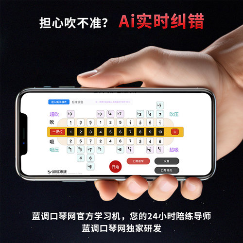 BoogieMan布鲁斯十孔口琴C调初学入门蓝调口琴网10孔专业演奏 - 图3
