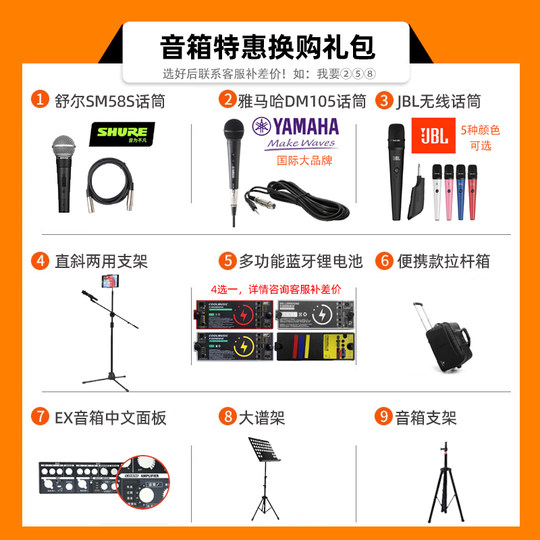 Roland Speaker EX Outdoor Portable Live Guitar Singing