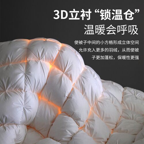 五星级酒店京希尔顿白鹅绒冬被羽绒春秋被子家用加厚保暖学生被芯 - 图3