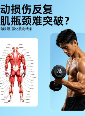 肌肉放松电刺激仪ems脉冲按摩器