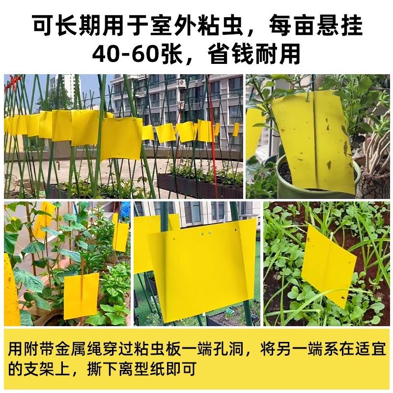 双面粘虫板黄板诱虫板果园大棚防虫板果蝇针蜂黄板诱捕器蓟马蓝板,淘宝优惠券,粉丝福利购,淘宝优惠卷