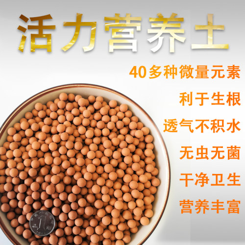 活力营养土多肉颗粒土活力球球土多肉专用无虫无菌利于生根铺面 - 图0