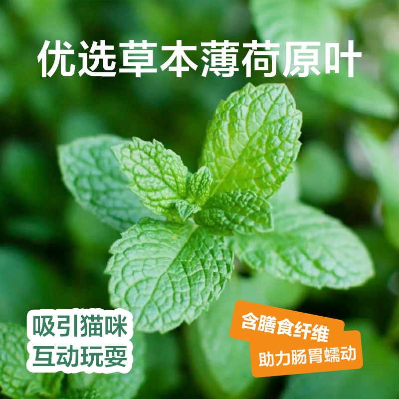 【顺手买一件】网易严选猫薄荷饼干幼猫零食猫草猫草粒 - 图0