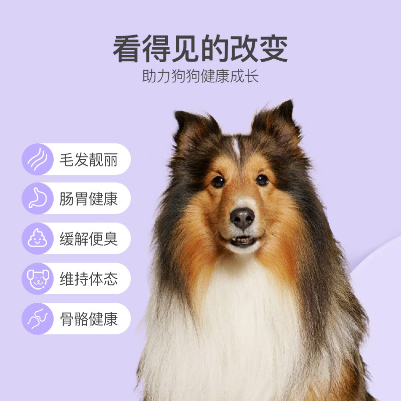 网易严选全价三拼冻干幼犬粮狗粮 网易严选犬主粮