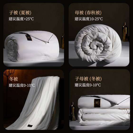 NetEase carefully selects 100% mulberry silk quilt