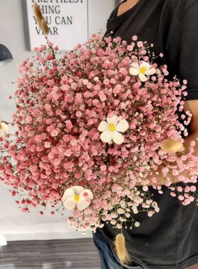 拍摄橱窗装饰永生送人满天星干花