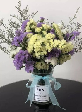 ins勿忘我干花花束客厅满天星