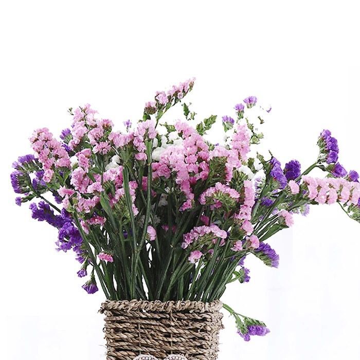 勿忘我干花花束鲜花一斤500g低价散装包邮半永生花真花论斤卖大束 - 图3