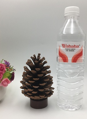 天然松塔自喷香水精油散香摆件
