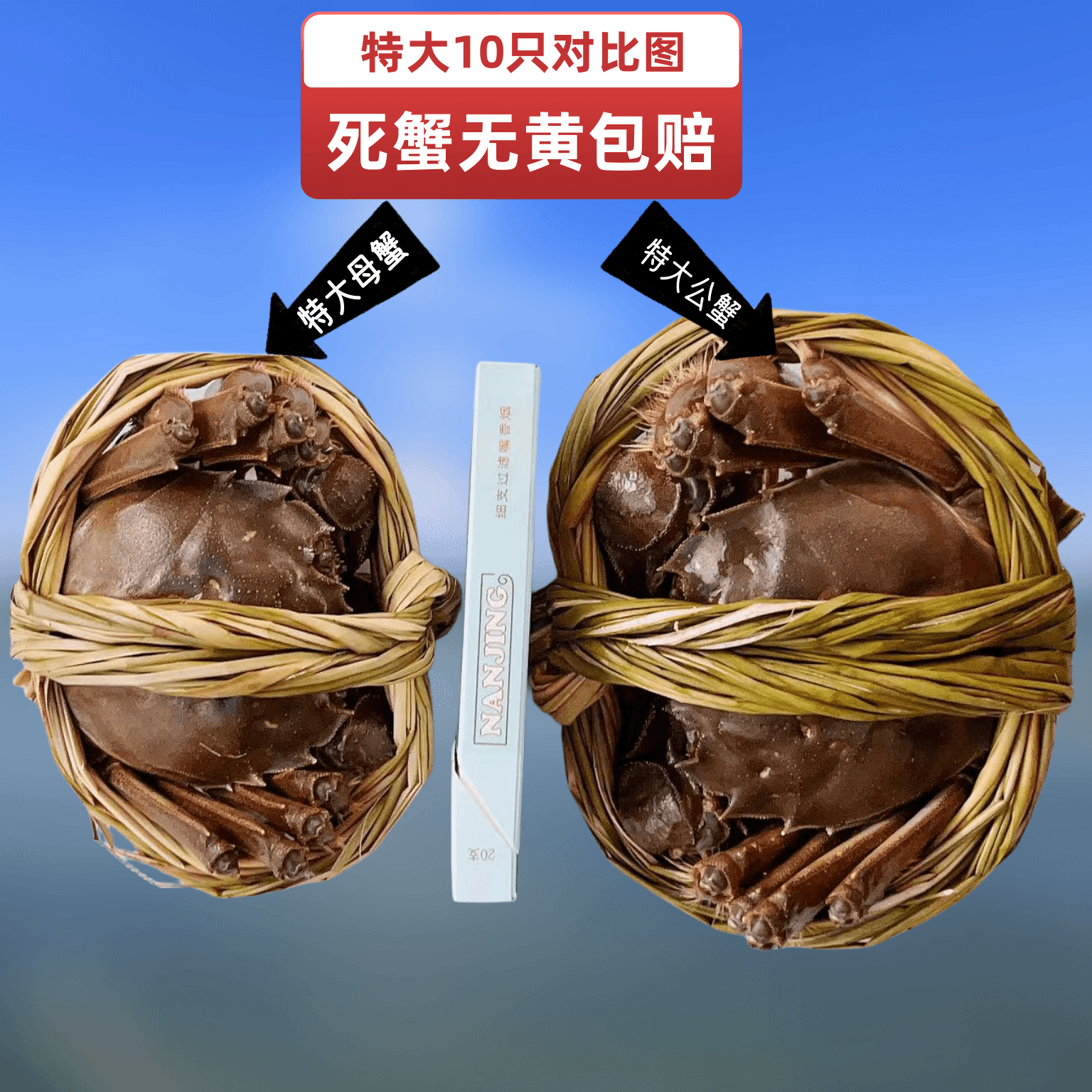 【活蟹】特大现货固城湖大闸蟹螃蟹鲜活公母蟹10只礼盒装顺丰空运,淘宝优惠券,粉丝福利购,淘宝优惠卷