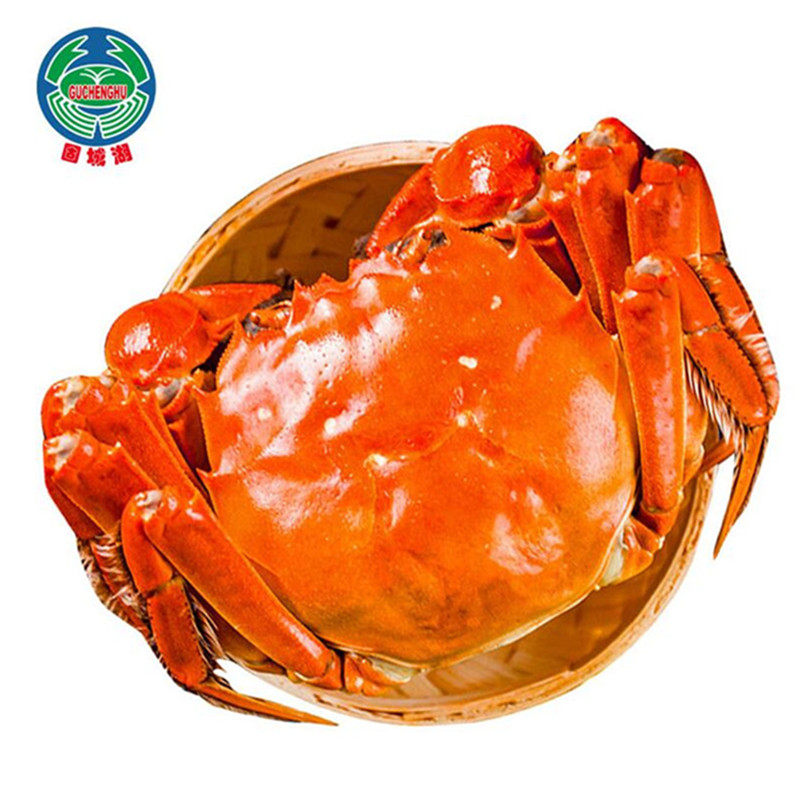 【活蟹】特大现货固城湖大闸蟹鲜活螃蟹全母3.0两大蟹中秋蟹10只,淘宝优惠券,粉丝福利购,淘宝优惠卷