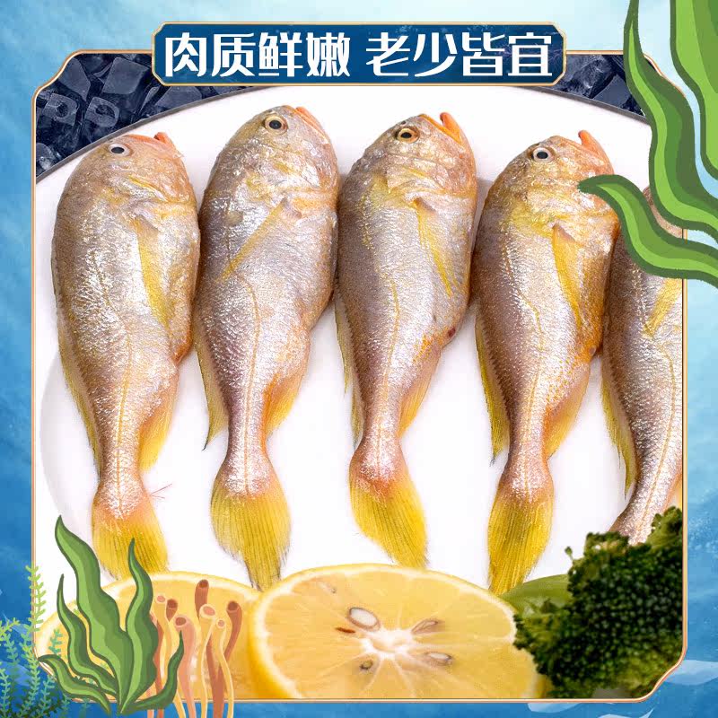 梅童鱼图片,区别,梅鱼图片(第13页)_大山谷图库