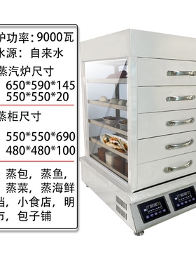 智国电加热蒸汽炉多功能台式秒出