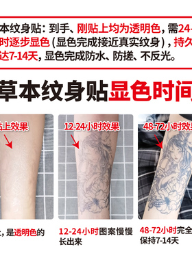 独角小怪兽星辰蝴蝶草本纹身贴防水女持久手臂锁骨高级果汁小图