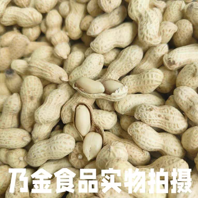 Shengxingyuan tangerine peel peanuts 500g new peanuts launched