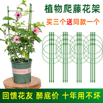 Climbing Vine Flower Shelf Gardening Pillar Rack Balcony Green Crescent Moon Season Iron Thread Lotus Root Plant Climbing Crab Claw Lann Support Pole