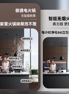 传火无烟电热火锅净化分体式鸳鸯