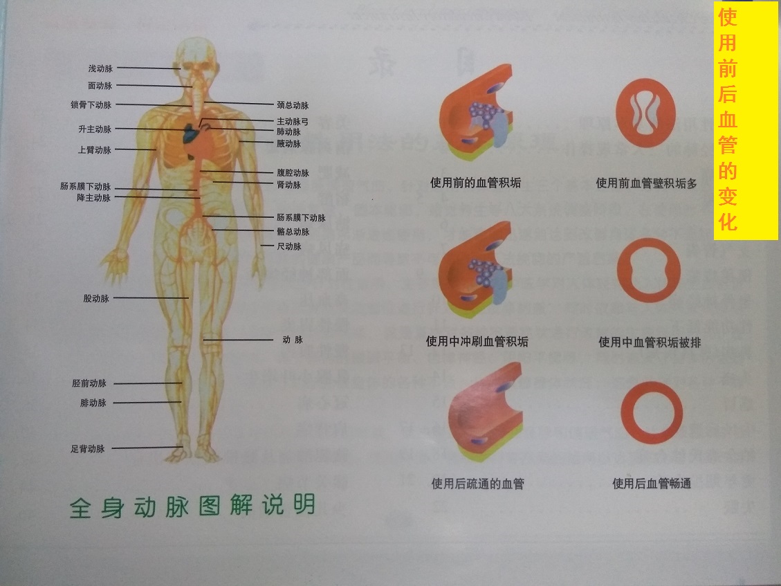 正品香港养生王气血循环机6688型，遥控语音标准款经典15年 - 图3