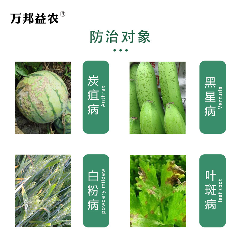 卓典37%苯醚甲环唑 杀菌剂蔬菜果树月季黑斑病叶斑病白粉病农药 - 图0