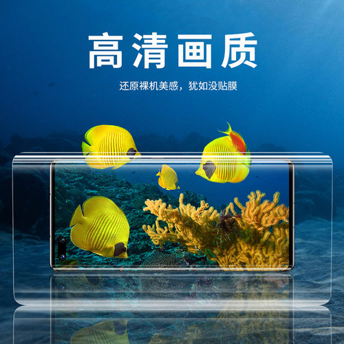 适用华为NOVA10/9/8/12Pro曲面Magic6/5荣耀100/90/80/70Pro/60 UV光固膜 S19高清Mate70Pro P60/50/40/30Pro - 图2