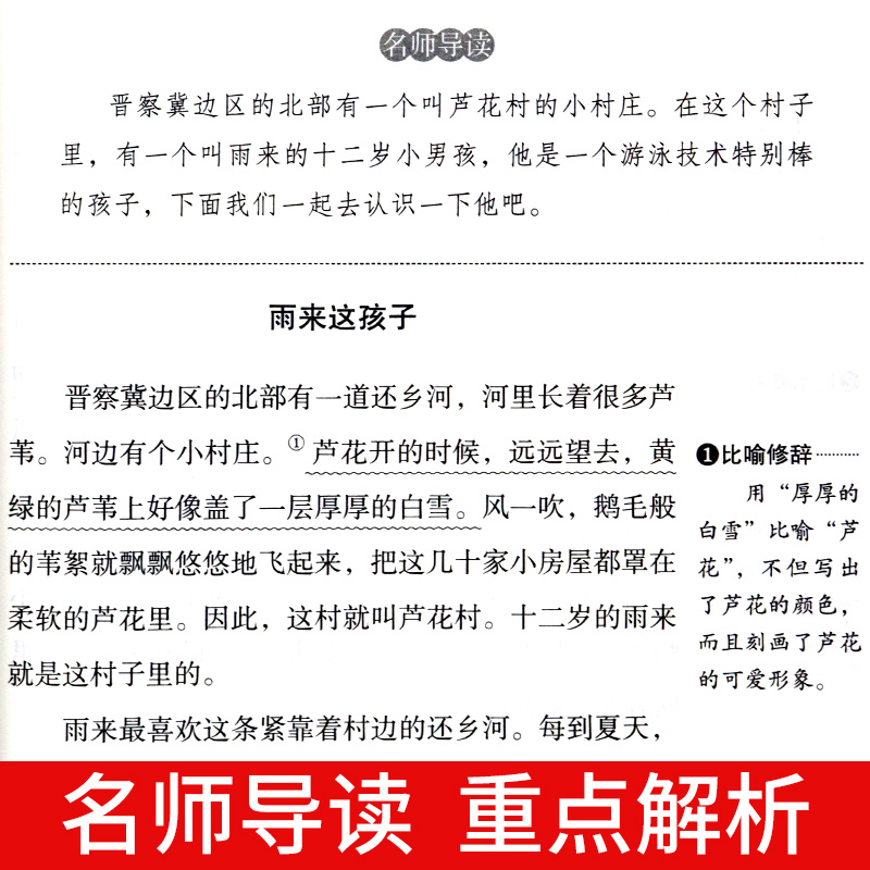 全套4册青铜葵花曹文轩小英雄雨来管桦与葫芦的秘密张天翼四年级下册阅读课外书必读正版的书目繁星春水冰心4下学期课外阅读书籍-图3