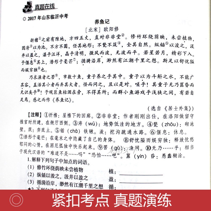 初中生阅读能力提升范本+中考满分作文大全2024人教版七八九年级初一二三初中语文阅读理解专项训练书文言文答题模板素材-图2