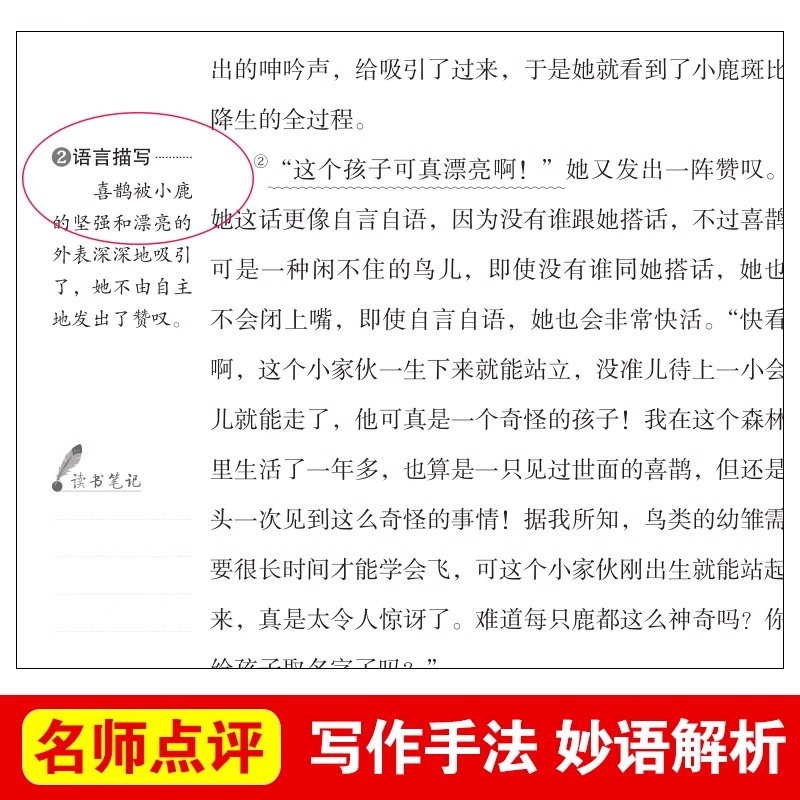 全套4册乌丢丢的奇遇三年级下册课外书必读正版的书目推荐小鹿斑比吹牛大王历险记爱丽丝漫游仙境奇境记小学下学期阅读书籍老师-图3