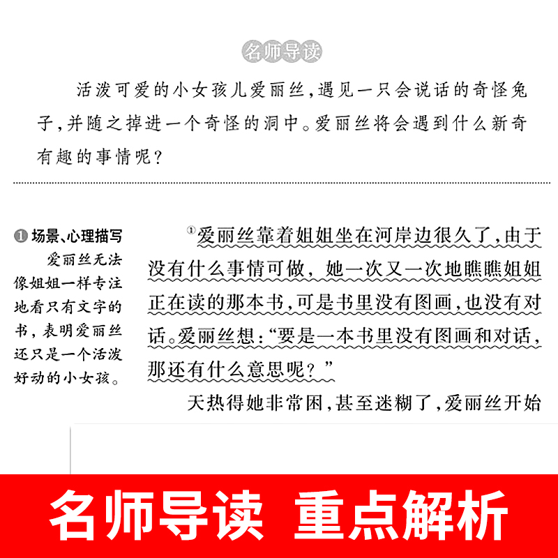 全套4册 鲁滨逊漂流记六年级下册的课外书必读正版原著完整版汤姆索亚历险记爱丽丝漫游奇境尼尔斯骑鹅旅行记鲁滨孙快乐读书吧6下 - 图3