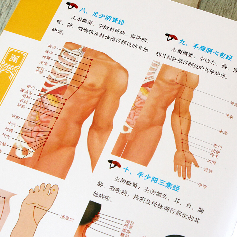 中医入门零基础正版图鉴 自学中药入门一本通书籍大全 医案经典药方医宗金鉴基础理论祛病养生宝典舌诊脉诊老偏方验方良方大全 - 图2