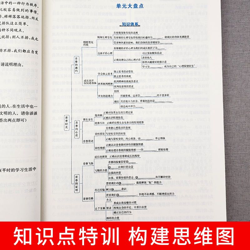 2024七年级下册同步练习册语文数学英语人教版教材书全套试卷测试卷一课一练专题专项训练 初一7下学期初中必刷题教辅书资料 - 图2