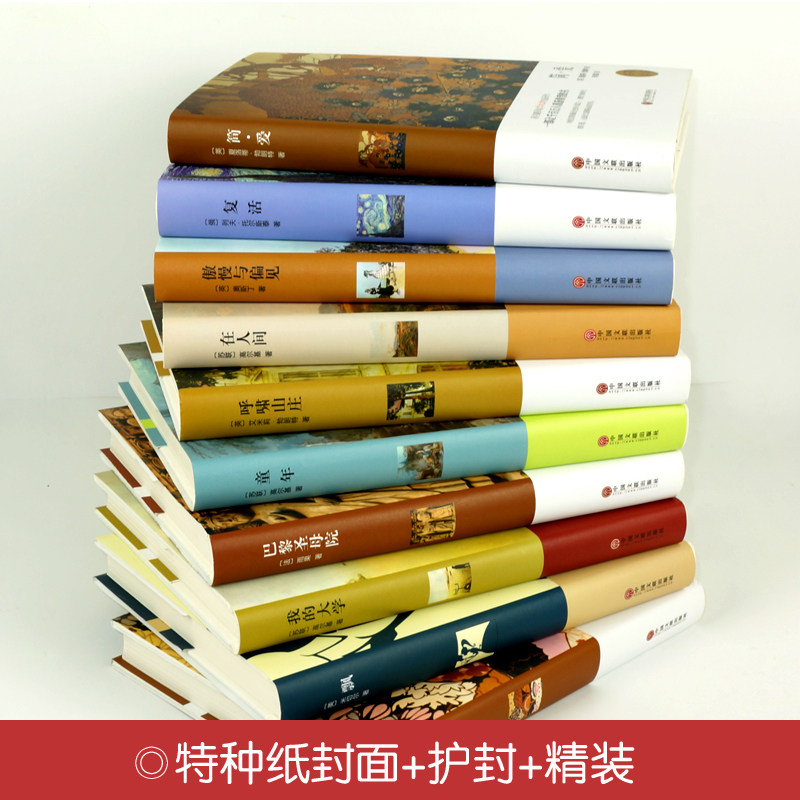 【世界十大名著全10册】正版巴黎圣母院飘我的大学童年红与黑呼啸山庄在人间简.爱傲慢与偏见复活世界名著中文版畅销书文学书籍_虎窝淘