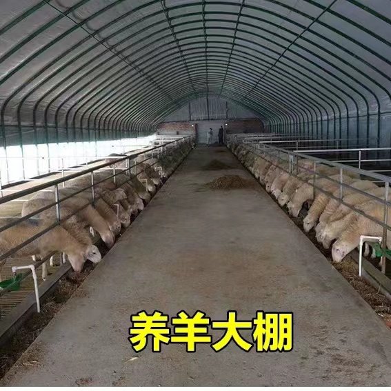 椭圆管圆管养殖大棚骨架全套养鸡棚猪棚牛棚羊棚鸭棚鹅棚保温暖棚 - 图0