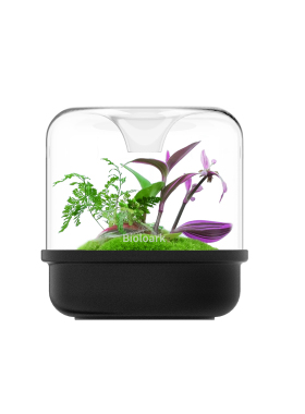 新品Bioloark生物方舟微景观生态瓶露集杯陶瓷底桌面摆件苔藓闷养