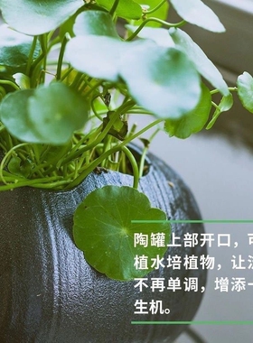 整套生态古法养鱼陶瓷流水罐制氧循环圆缸摆件系统庭院花园可种植