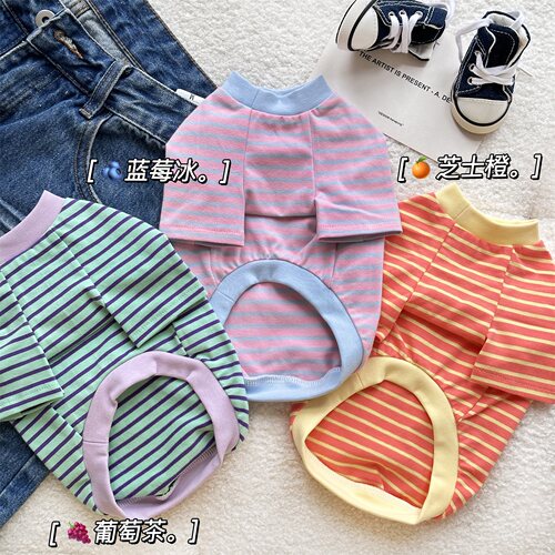 吸吸果冻～韩风宠物衣服秋季泰迪秋装雪纳瑞纯棉居家T恤猫咪薄款 - 图1