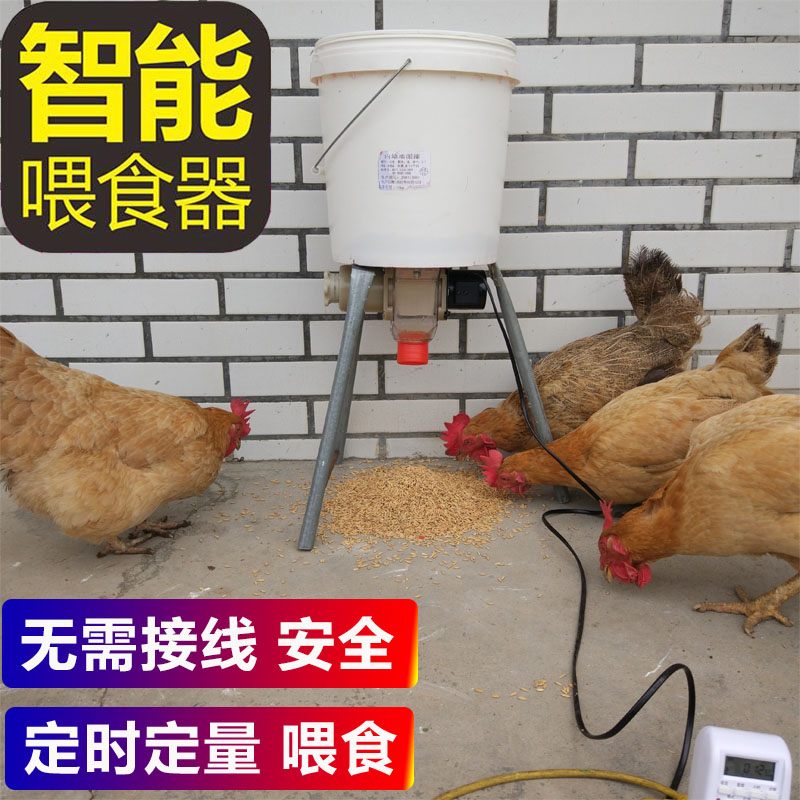 养鸡自动喂食器鸽子鸡鸭信鸽食槽定时全自动喂鸡神器鸽子用品用具-图0