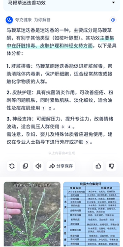 马鞭草迷迭香精油15ml/50ml  护肤护发清洁滋养 - 图3
