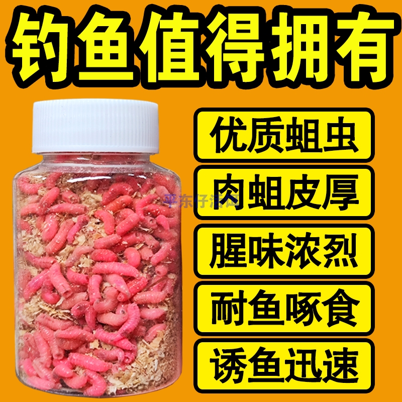 【鱼口好】钓鱼活体虫饵鲜活蛆虫白蛆红蛆蛆牙子鲫鱼斑鱼昆虫鱼饵 - 图0